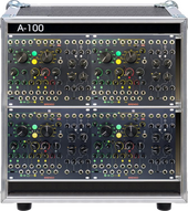 My reptile Eurorack