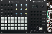 polyend