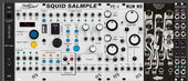 moog 60hp sampler mit basimilus und doppel lfo