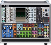 Neutron plus