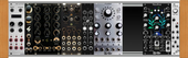My cestoid Eurorack