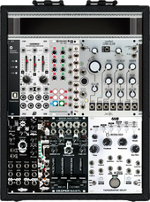 ER-301 Pearboy (copy) (copy) (copy) (copy) (copy)