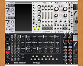 Moog