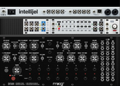 Palette 62 (copy)