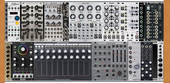 Black Mahogany