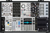 Doepfer Sound Mangler (Mimeophon)