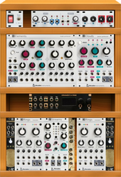 My dermoid Eurorack (copy)