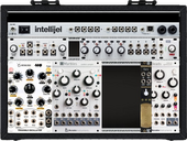 Palette Morph (copy) (copy)