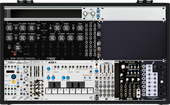 dfam+morphagene