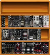 No Poly or Seq