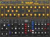 wasp