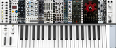 KB37 FM Mono Zebra