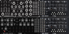 Big Moog Rack #1