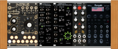 Moog Case