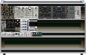 My swampy Eurorack