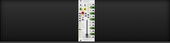 Moog Rack