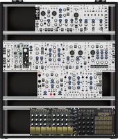 My new custom Make Noise (copy)