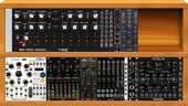My trifid Eurorack