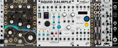 2023-04 salmpling w/ grains