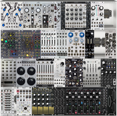 My bivalve Eurorack