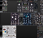 My cichlid Eurorack