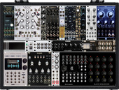 My lymphoid Eurorack (copy)