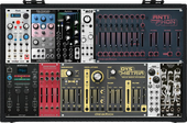 My thyrsoid Eurorack
