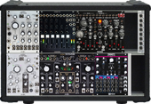 My squamate Eurorack