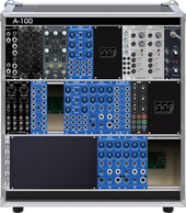 VIDEO CASE