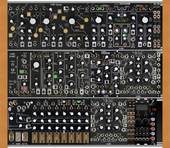 My caudate Eurorack (copy)