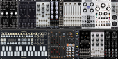 My guardant Eurorack