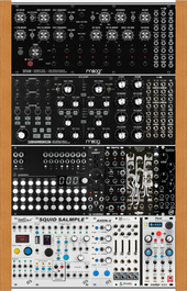 SubHarmonicon &amp; DFAM: Drums &amp; Modulation Expansion Rack (Plonk) (Squid)