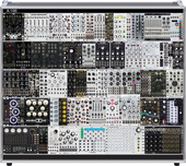 My spathose Eurorack