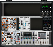 My riblike Eurorack
