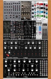 Moog Case