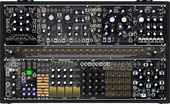 Make Noise Black and Gold Shared System (copied from CitizenKlaus)