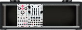 Moog Sidecar