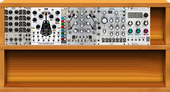 My bizarre Eurorack