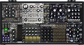 Tim's Tweaked Make Noise Black &amp; Gold Shared Plus