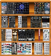 neat modules