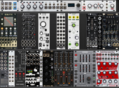 My percoid Eurorack