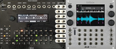 My yearling Eurorack