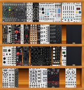 my Latest actual large plus where it goes