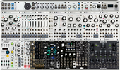 My haploid Eurorack