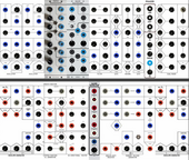 Prismatic_Face_Paper_People_Serge