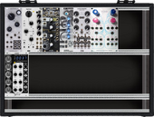 Interesting modules