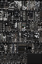 Every Noise Engineering Black Module