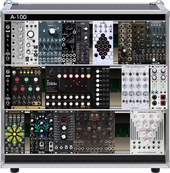 v1