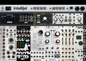 Ihor Pura Ruina Techno Rig