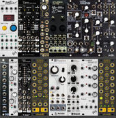 My bearlike Eurorack
